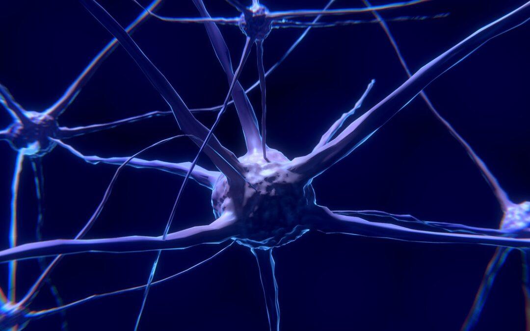 ¿El alcohol mata neuronas?